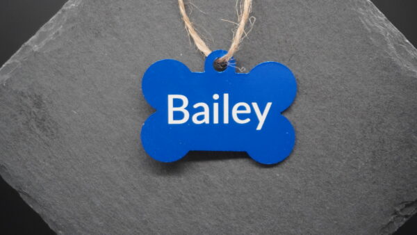 Metal Pet Tags - Bone